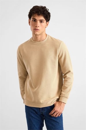 Bej Regular Melanjlı Baskısız Waffle Bisiklet Yaka Cepsiz Düz Sweatshirt
