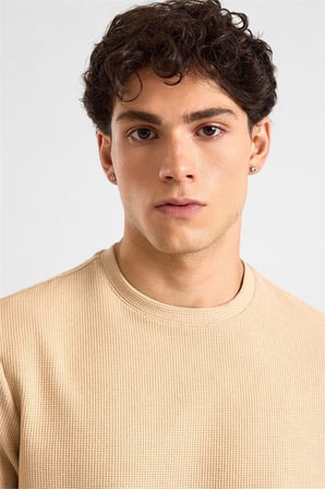 Bej Regular Melanjlı Baskısız Waffle Bisiklet Yaka Cepsiz Düz Sweatshirt