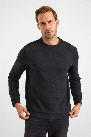 Siyah Regular Düz Bisiklet Yaka Sweatshirt