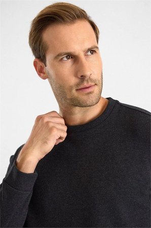 Siyah Regular Düz Bisiklet Yaka Sweatshirt