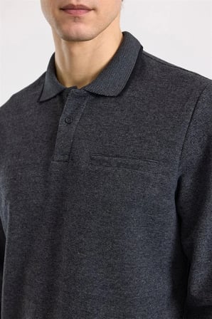 Antrasit Regular Düz Polo Yaka Sweatshirt