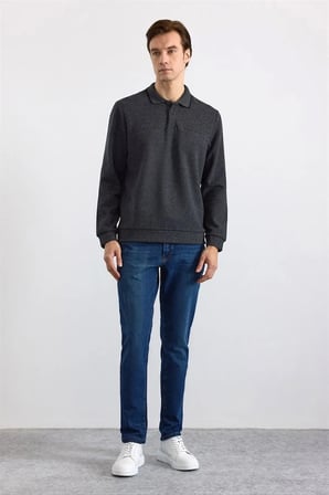 Antrasit Regular Düz Polo Yaka Sweatshirt