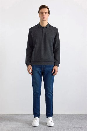 Antrasit Regular Düz Polo Yaka Sweatshirt