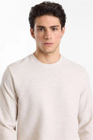 Bej Regular Düz Baskısız Waffle Bisiklet Yaka Cepsiz Sweatshirt
