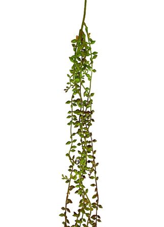 Yapay Çiçek Sarkan Kahverengi Detaylı String Okaliptus Skulent 70cm 5Dal