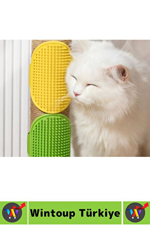 Ergonomik Evcil Hayvan Yumuşak Esnek Zararsz Masaj Pet Kedi Köpek Silikon Tüy Toplama Yıkama Fırçası