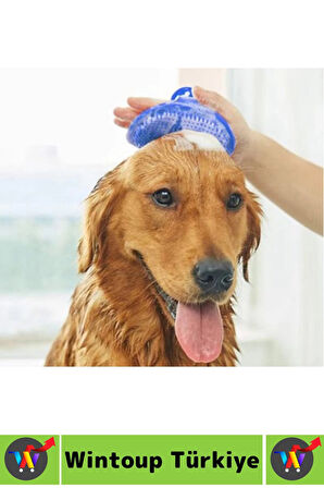 Ergonomik Evcil Hayvan Yumuşak Esnek Zararsz Masaj Pet Kedi Köpek Silikon Tüy Toplama Yıkama Fırçası