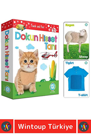 Premium Eğitici Duyusal Gelişim Görsel Algı Eğlenceli Öğrenme Çocuk Dokun Hisset Tanı Eğitim Kartlar