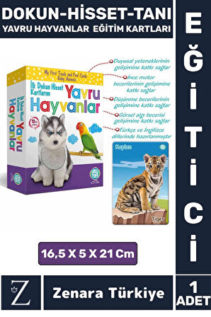 Çocuk Eğitici Görsel Algı Koordinasyon Eğlenceli DOKUN-HİSSET-TANI Eğitim Kartları YAVRU HAYVANLAR