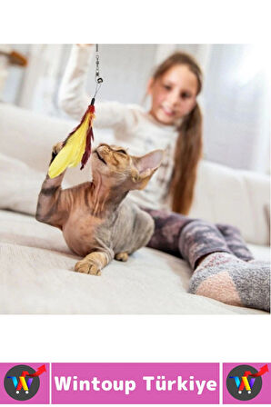 Evcil Hayvan Pet Zihinsel Fiziksel Gelişim İlgi Çeken Eğlenceli Teleskopik Zilli Tüylü Kedi Oyuncağı
