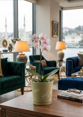 Söğüt Yeşili Drenaj Delikli 2’li Seramik Saksı (Kalemlik,Fırçalık,Masa Organizeri ) / Modern Dekoratif El Yapımı Tasarım 12 cm