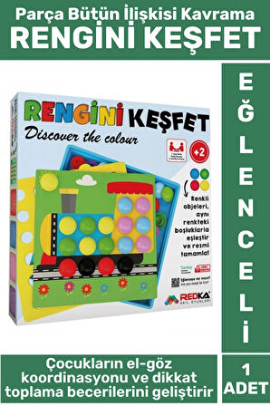 Premium Eğlenceli El Göz Koordinasyon Parça Bütün İlişkisi Kavrama Çocuk Eğitici Oyun RENGİNİ KEŞFET