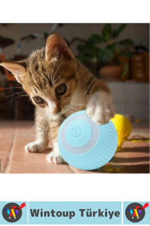 Eğlenceli Zararsız Pet Evcil Hayvan Eğitici Kedi Köpek Silikon 3 Modlu Şarjlı İnteraktif Oyun Topu