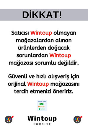 Premium Özel Kutulu Antik Gümüş Renk Canlılık Pozitiflik Dekoratif Karınca Bereket Duası Nar Boytu