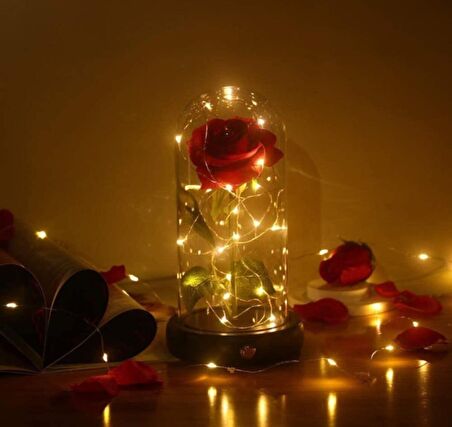 Faunus İçerisinde Işıklı Yapay Kırmızı Gül Ve 3 Fonksiyonlu Periled Kadına Sevgiliye Hediye
