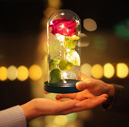 Faunus İçerisinde Işıklı Yapay Kırmızı Gül Ve 3 Fonksiyonlu Periled Kadına Sevgiliye Hediye
