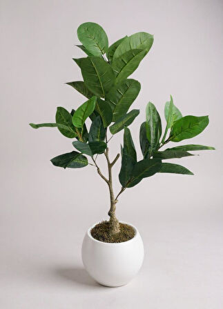 Yapay Ağacı Kauçuk Ağacı Beyaz Küre Saksıda 100*50cm