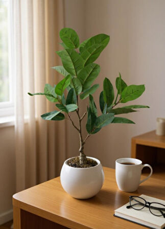 Yapay Ağacı Kauçuk Ağacı Beyaz Küre Saksıda 100*50cm