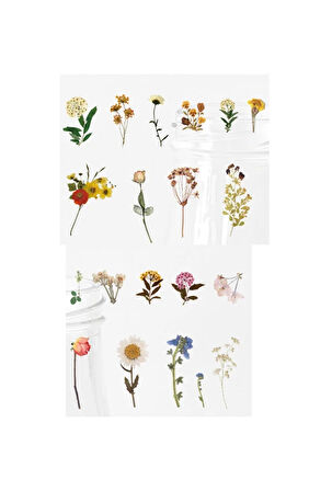 Vintage Şeffaf Pet Sticker 4-8cm 40 adet