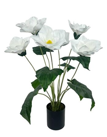 Yapay Çiçek Islak Manolya Çiçeği 6 Çiçekli 65cm Siyah Saksıda  Salon Çiçeği