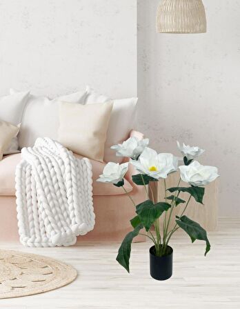 Yapay Çiçek Islak Manolya Çiçeği 6 Çiçekli 65cm Siyah Saksıda  Salon Çiçeği