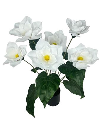 Yapay Çiçek Islak Manolya Çiçeği 6 Çiçekli 65cm Siyah Saksıda  Salon Çiçeği
