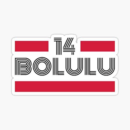 14 Bolulu Plaka Araba Sticker Yapıştırması