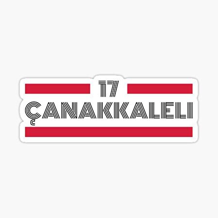 17 Çanakkaleli Plaka Araba Sticker Yapıştırması