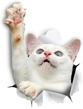 Sevimli Beyaz Yavru Kedi Araba Leptop Sticker Yapıştırma 18CM