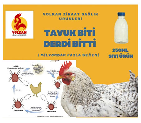 "Kümes Hayvanlarınız İçin Kesin Çözüm: Kırmızı Bitlere Karşı Gallus Gallinea"