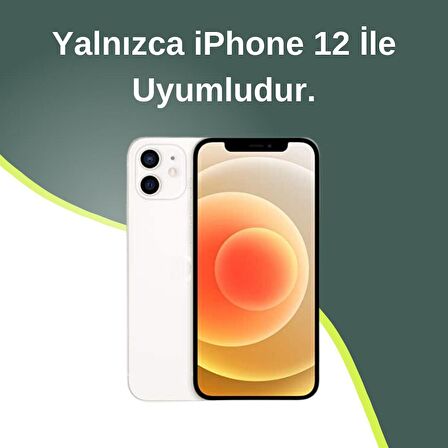 iPhone 12 Uyumlu Gold Detaylı Çizgili Beyaz Baklava Dilimli Puf Kılıf