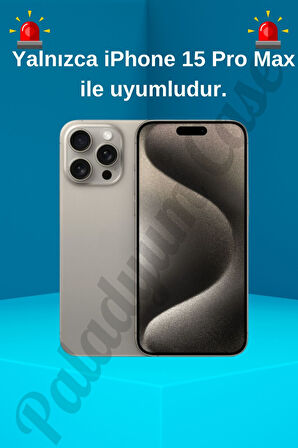 iPhone 15 Pro Max Uyumlu Taşlı Kuğu Desenli Şeffaf Kılıf