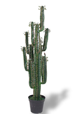Yapay Çiçek Kaktüs Ağacı Siyah Saksıda 145*37cm 10 Kollu