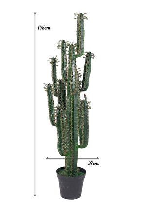 Yapay Çiçek Kaktüs Ağacı Siyah Saksıda 145*37cm 10 Kollu