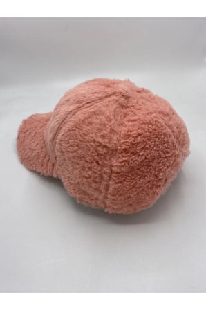 Kadın Kışlık Peluş Şapka Kep Trendy Baseball Cap