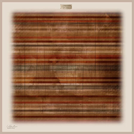 GÜZ | YAZ SERİNLİĞİ EŞARP 90 x 90  1283