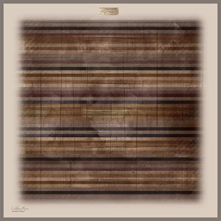 GÜZ | YAZ SERİNLİĞİ EŞARP 90 x 90  1283