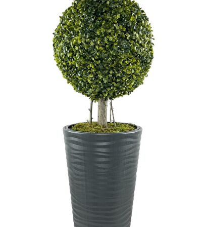 Yapay Ağaç Antrasit Uzun Kumsal Vazoda Şimşir Top 2 Toplu 130cm