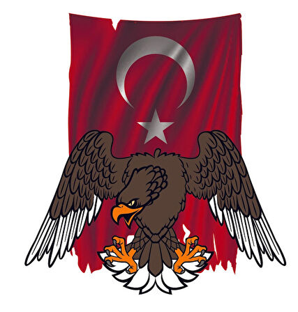 Kartal Türk Bayrağı Sticker Yapıştırma 18CM