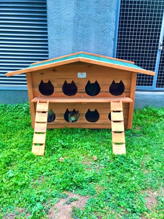 Pati Emlak Ahşap Kedi Evleri 8 Yuvalı Pati Emlak Kedi Kulübesi Ahşap