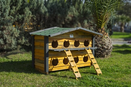 8 Yuvalı Kedi Evi Ahşap