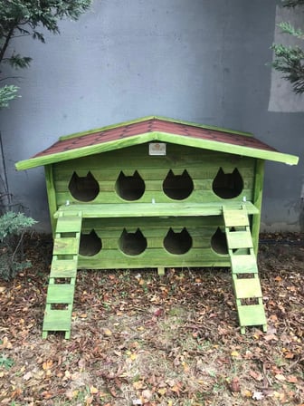 Pati Emlak Dış Mekan Kedi Evleri 8 Yuvalı Pati Emlak Kedi Kulübesi Yeşil