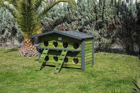8 Yuvalı Kedi Evi Pati Emlak Yeşil