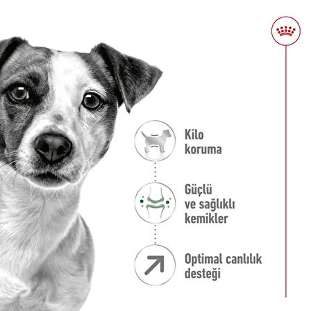 Royal Canin  8 Yaş ve Üzeri Küçük Irklar için Kuru Köpek Maması 2Kg
