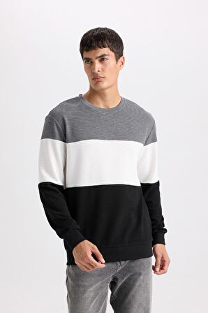DeFacto Regular Fit Bisiklet Yaka Jakarlı Sweatshirt D5393AX24AUBK27