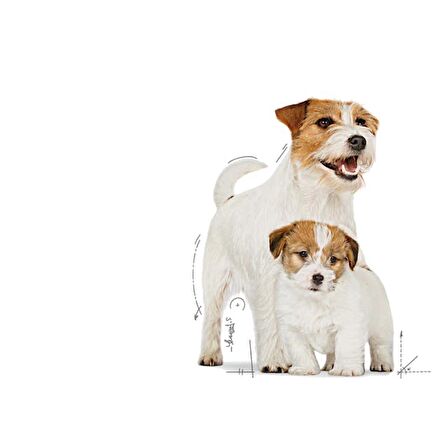 Royal Canin Starter Mother&Babydog Gebe/Laktasyondaki Anne ve Yavru Köpekler için Köpek Konservesi 195g