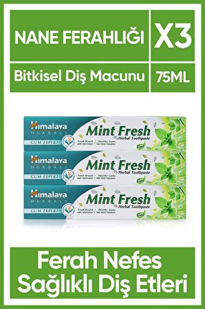 Mint Fresh Ferahlatıcı Diş Macunu, Bitkisel, Vejetaryen, Florürsüz, Parabensiz, 75 Ml 3 Adet