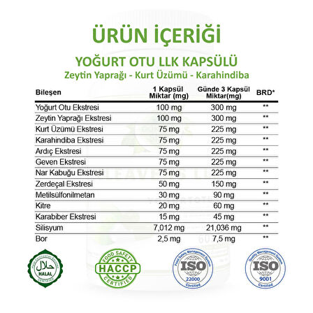 Gökçek Şifa Yoğurt Otu LLK (Cleavers LLC) Kapsül