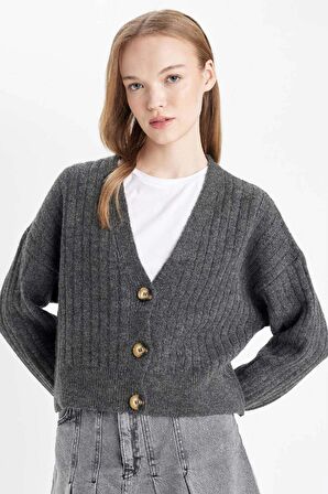 DeFacto Regular Fit V Yaka Triko Hırka R1389AZ24WNAR227