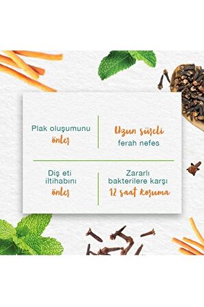 Mint Fresh Ferahlatıcı Diş Macunu, Bitkisel, Vejetaryen, Florürsüz, Parabensiz, 75 Ml 3 Adet